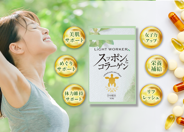 スッポン (Suppon)